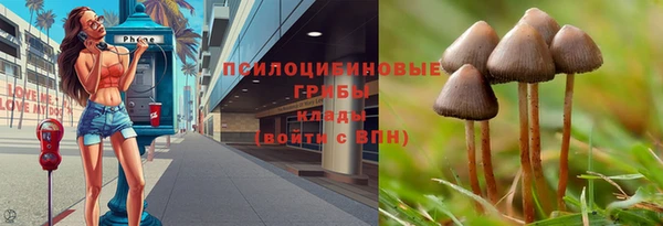 mdpv Богородицк