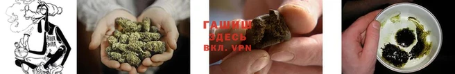 a pvp Богданович
